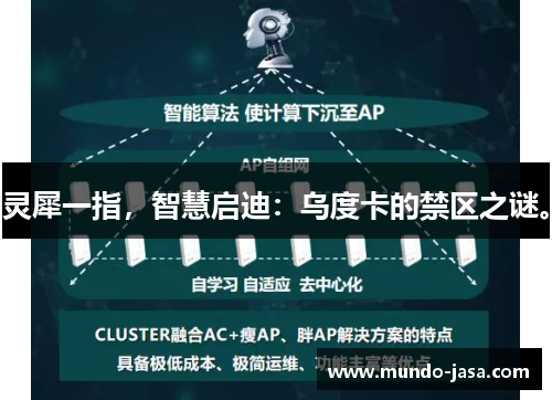 灵犀一指，智慧启迪：乌度卡的禁区之谜。